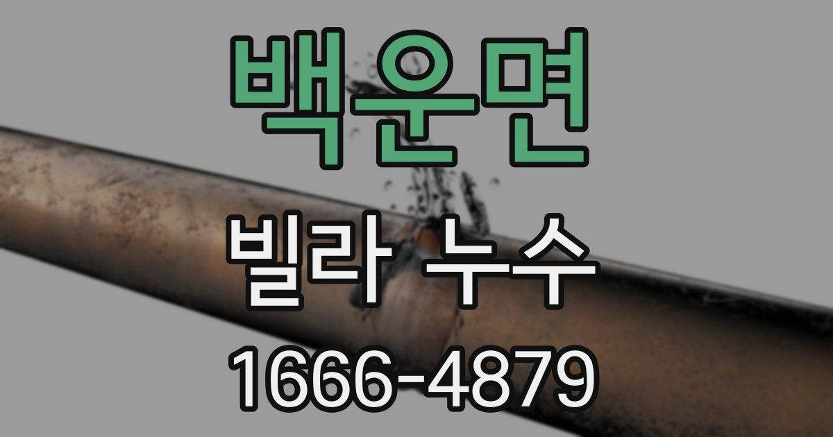 백운면 빌라 누수