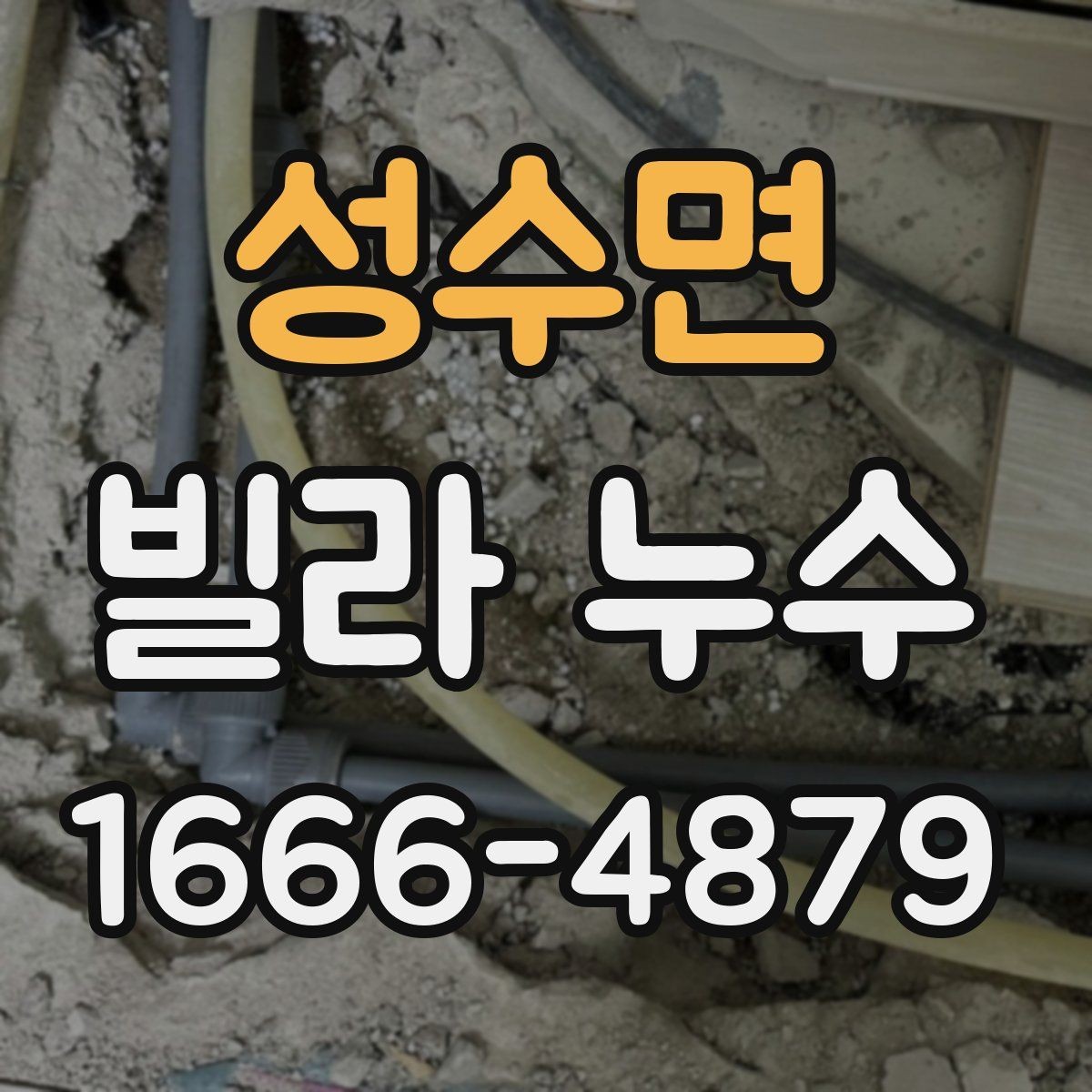 성수면 빌라 누수 실내 곰팡이와 함께 볼 문제들