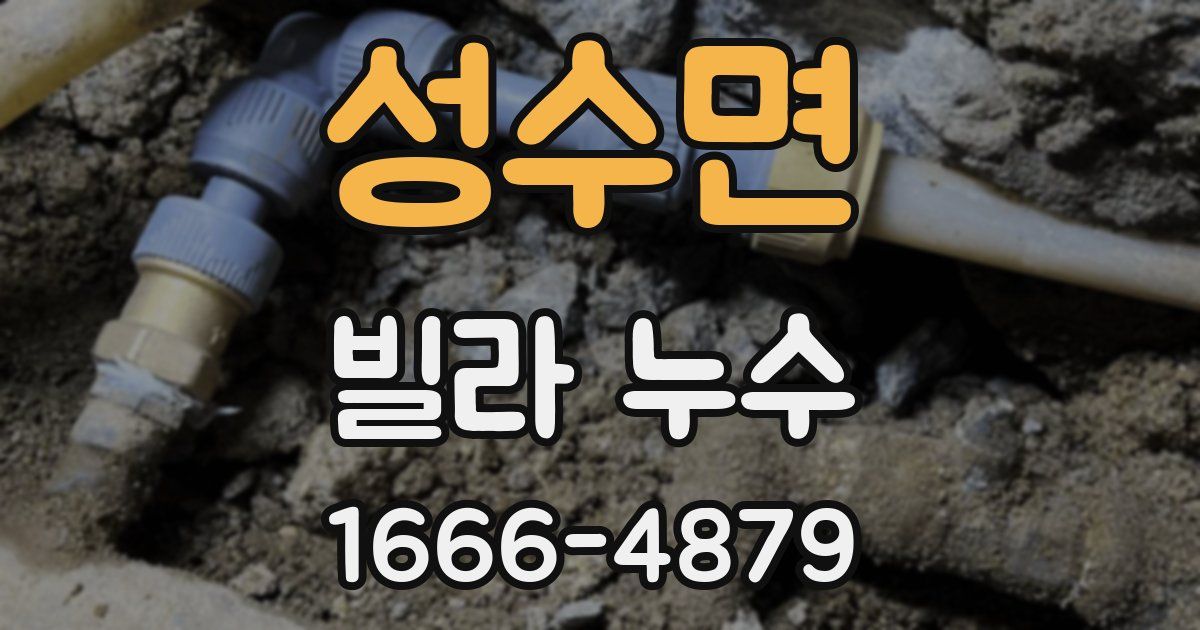 성수면 빌라 누수