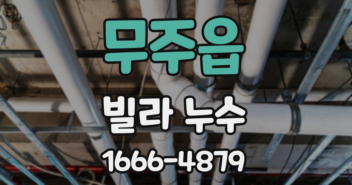 무주읍 빌라 누수