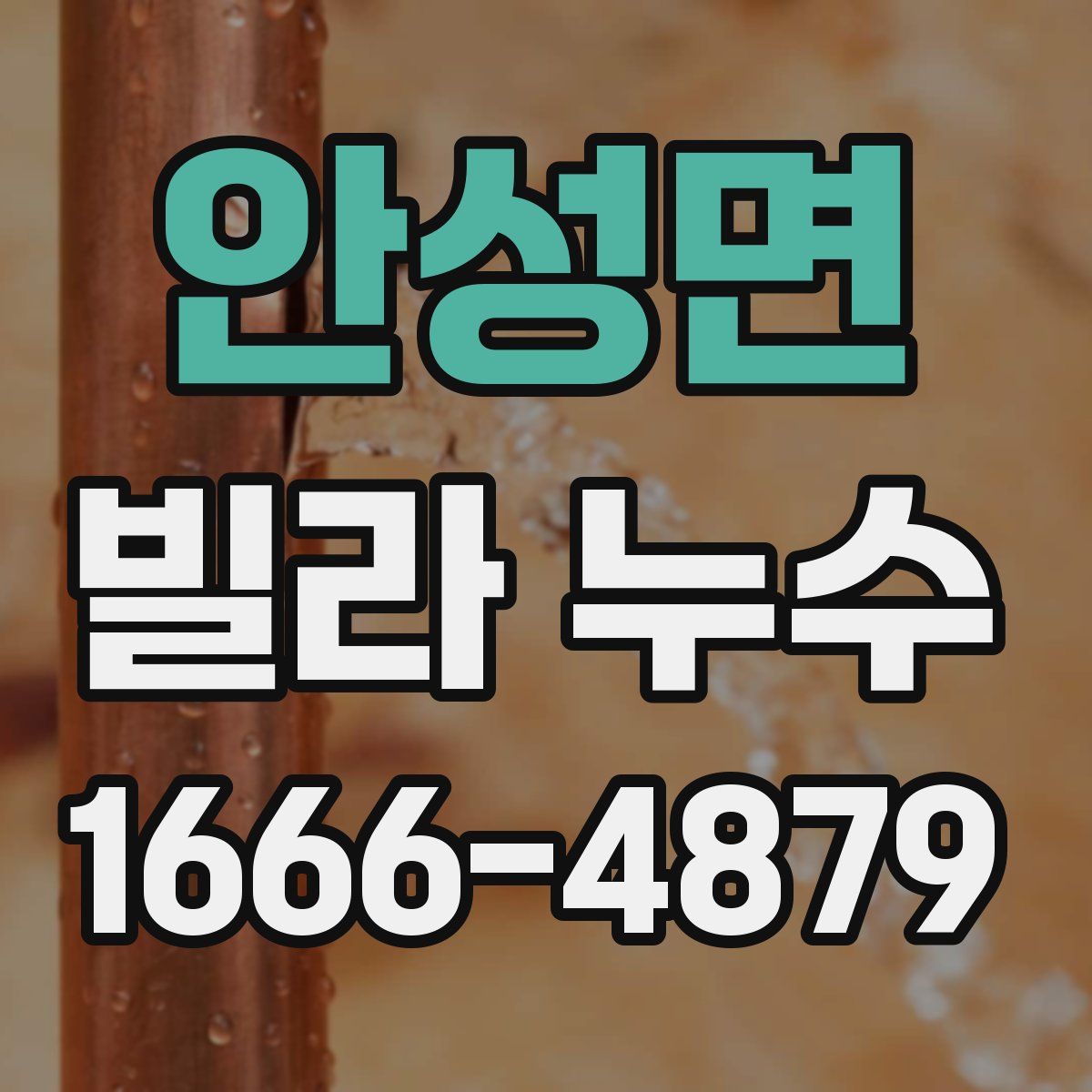 안성면 빌라 누수