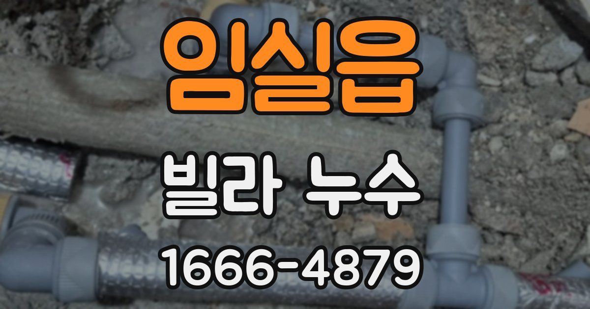 임실읍 빌라 누수