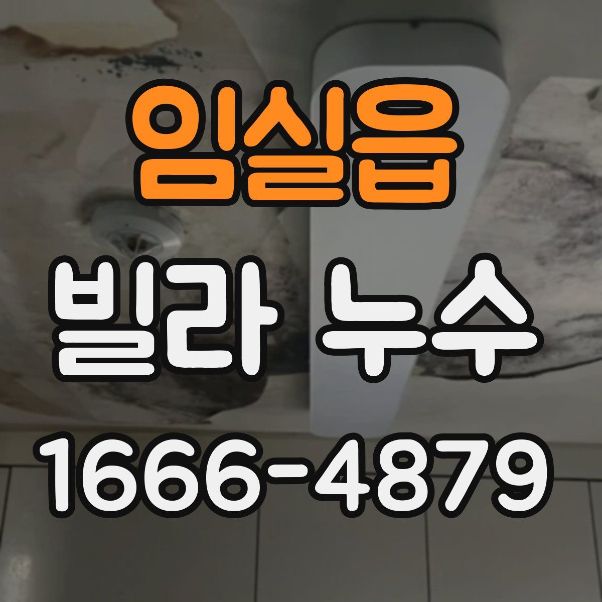 임실읍 빌라 누수