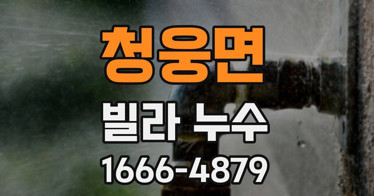 청웅면 빌라 누수