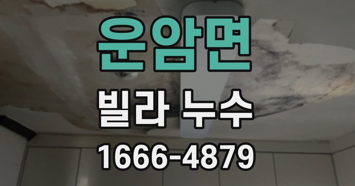 운암면 빌라 누수