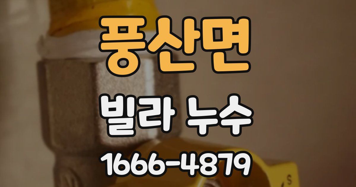 풍산면 빌라 누수