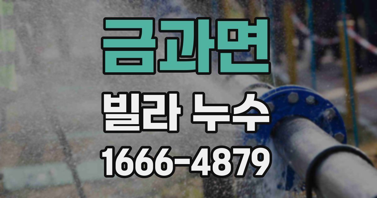 금과면 빌라 누수