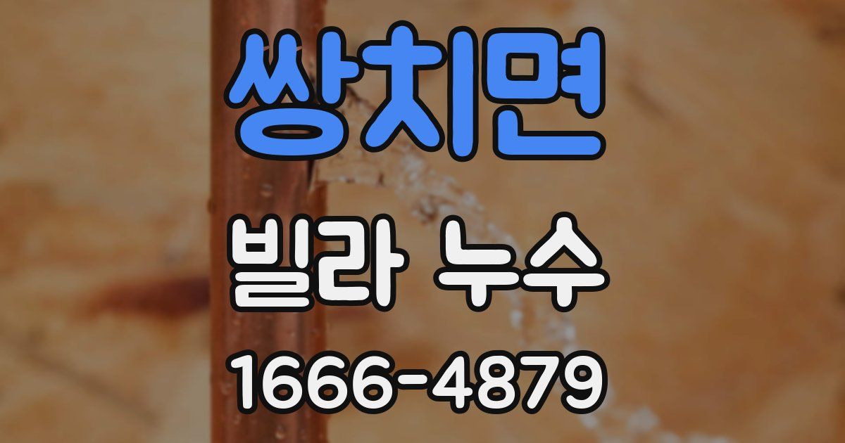 쌍치면 빌라 누수