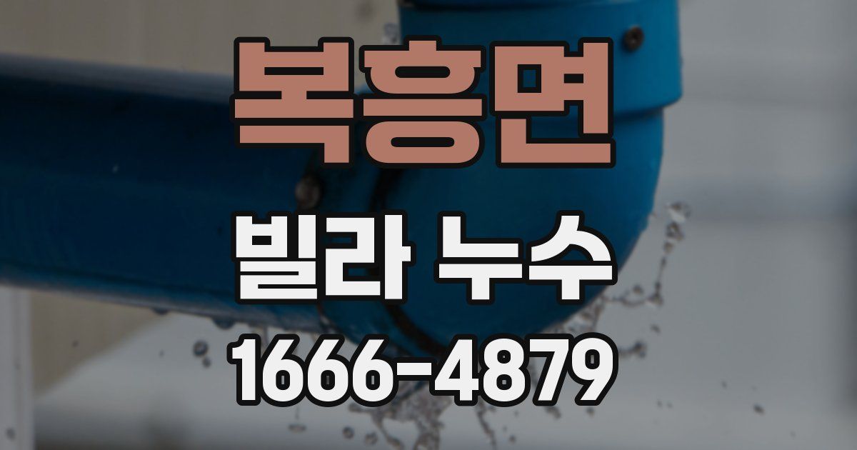 복흥면 빌라 누수