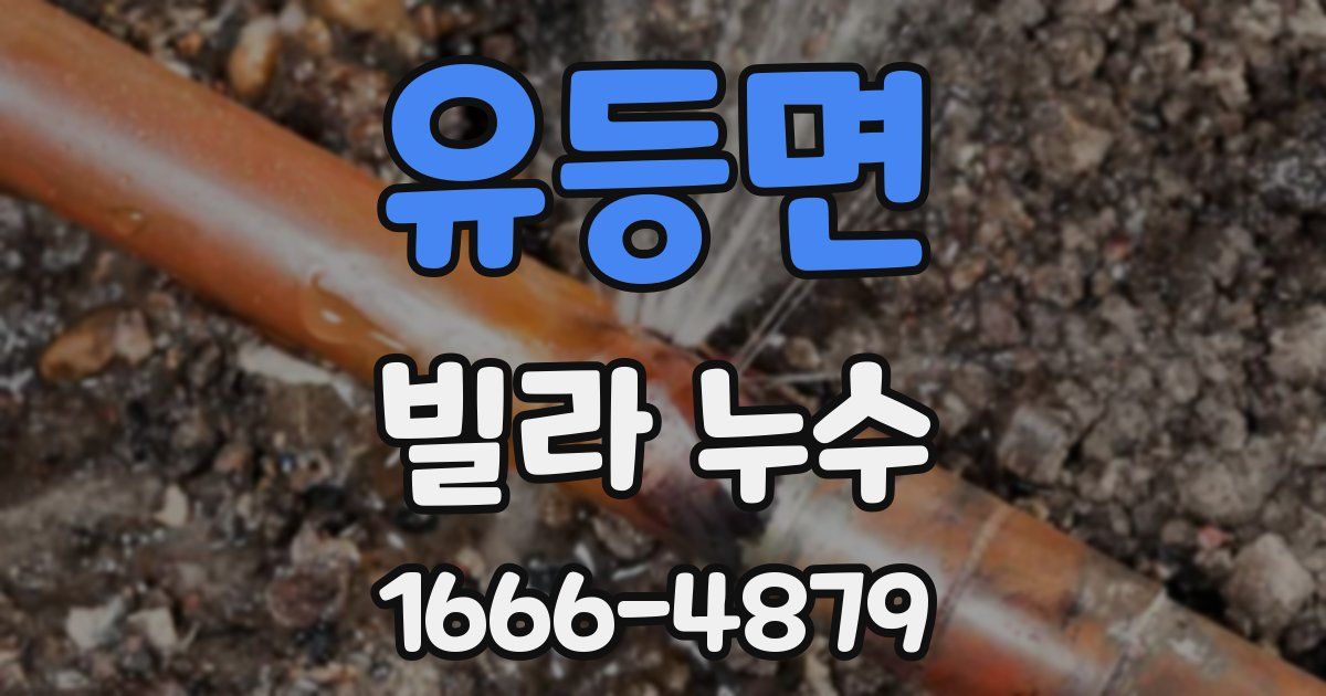 유등면 빌라 누수