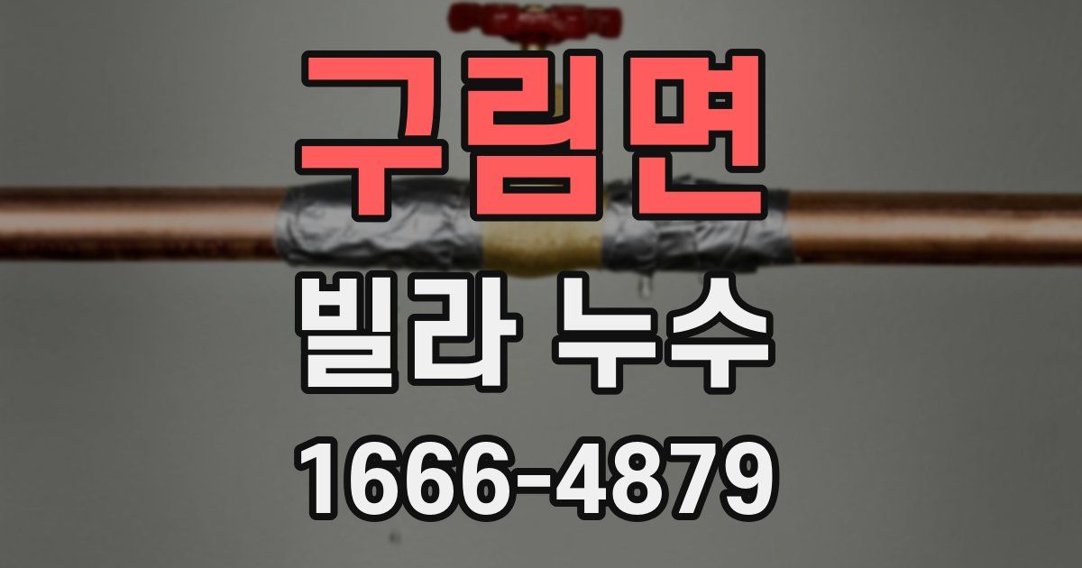 구림면 빌라 누수