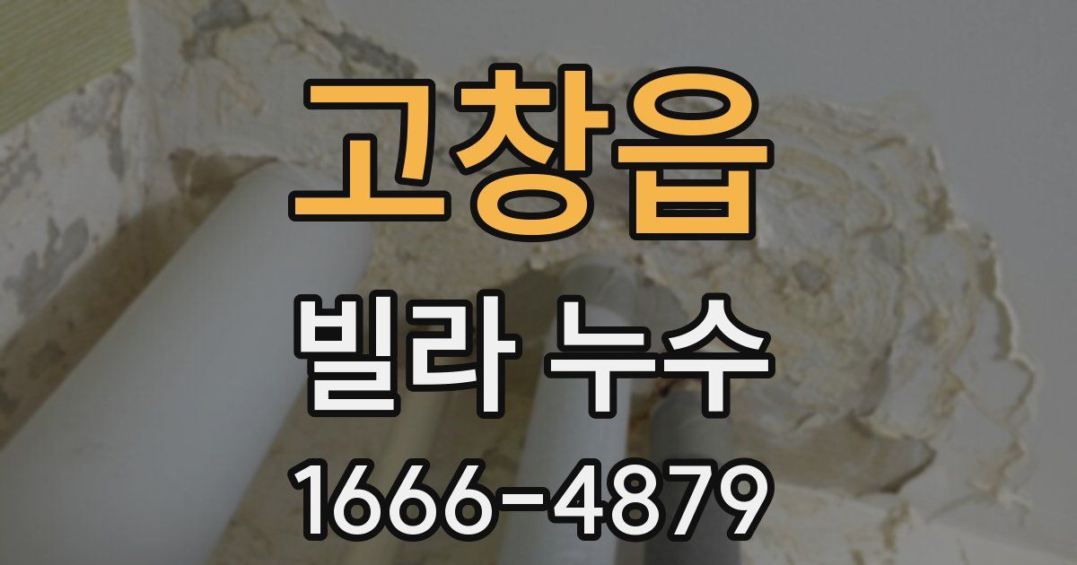 고창읍 빌라 누수