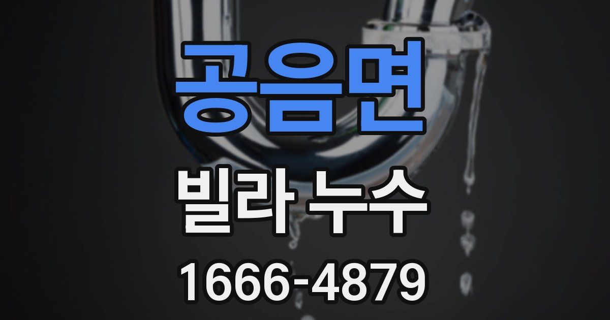 공음면 빌라 누수