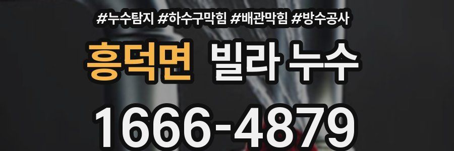 흥덕면 빌라 누수
