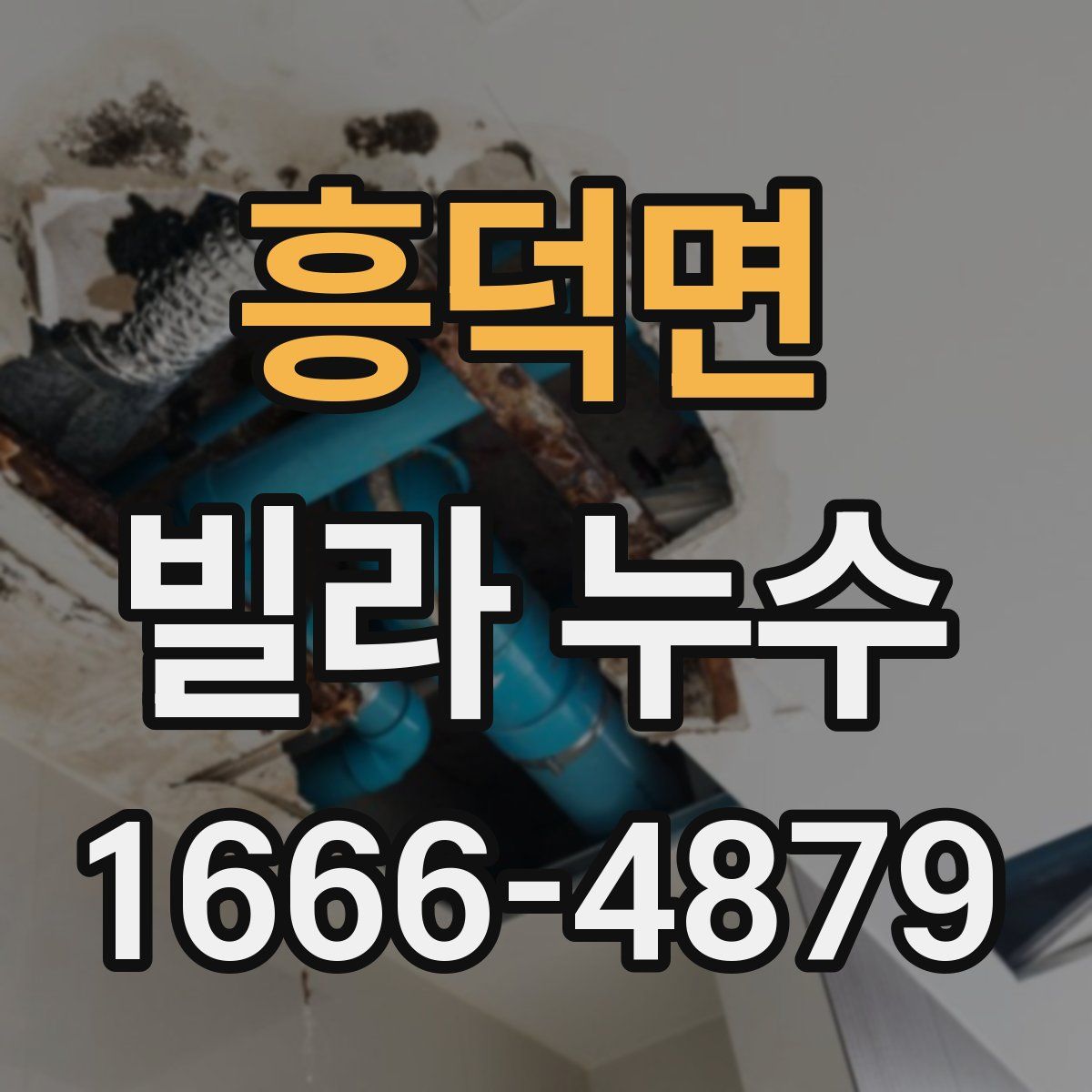 흥덕면 빌라 누수