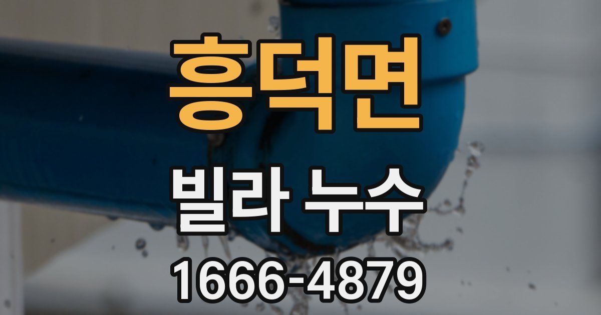 흥덕면 빌라 누수