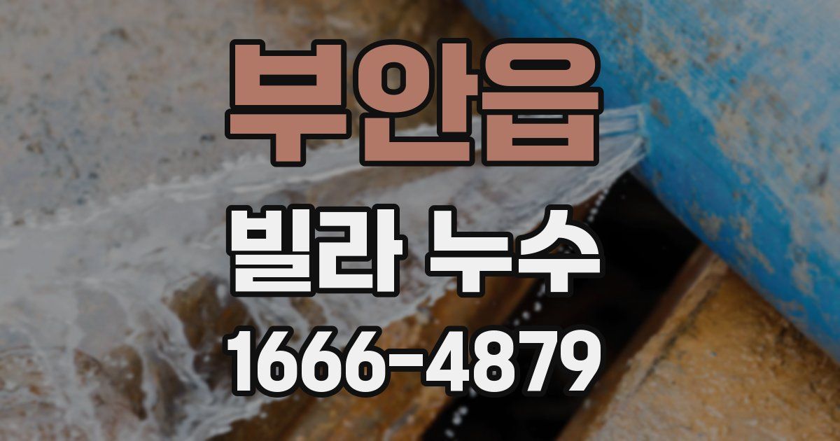 부안읍 빌라 누수