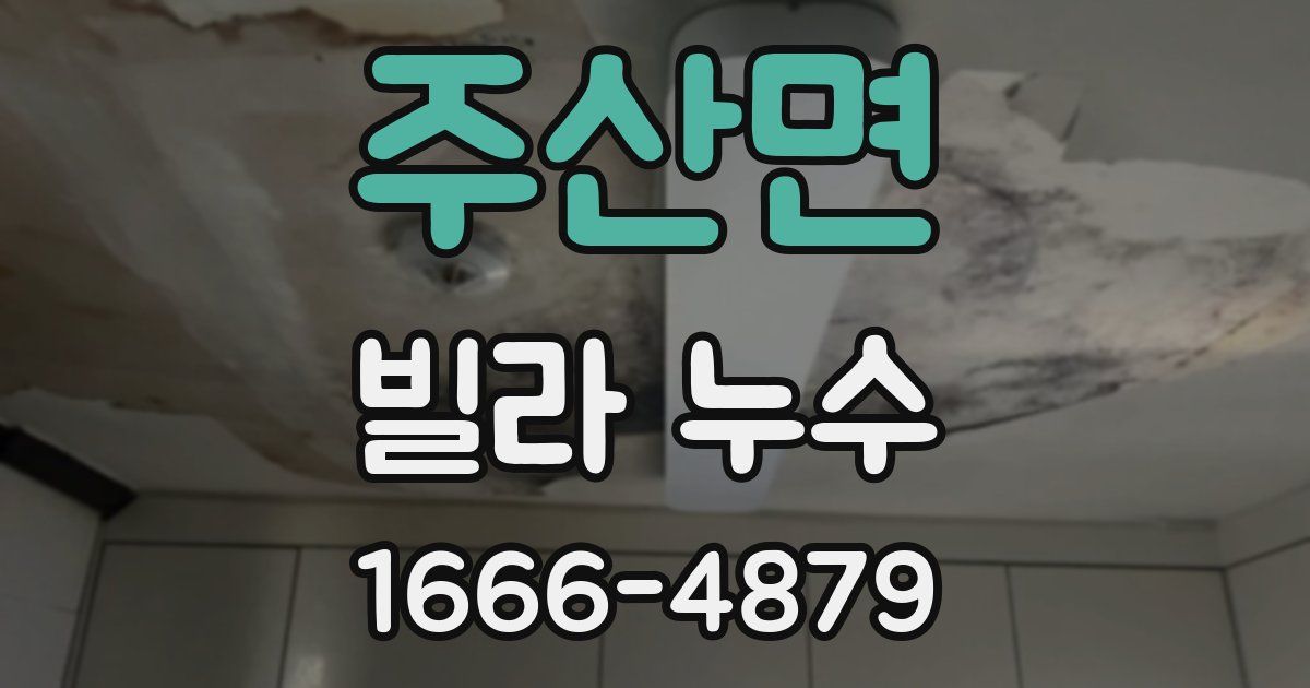 주산면 빌라 누수