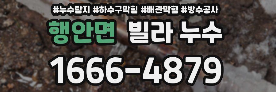 행안면 빌라 누수