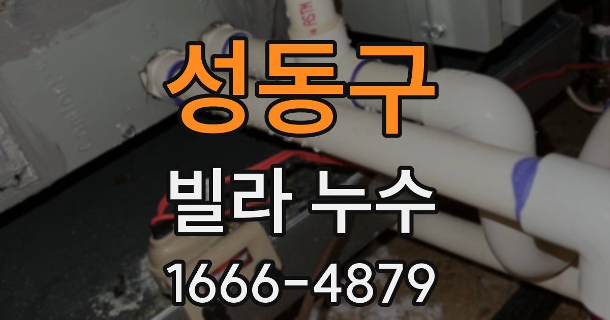 성동구 빌라 누수