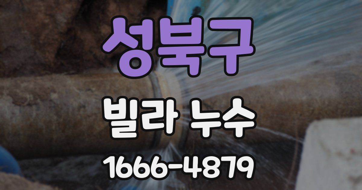 성북구 빌라 누수