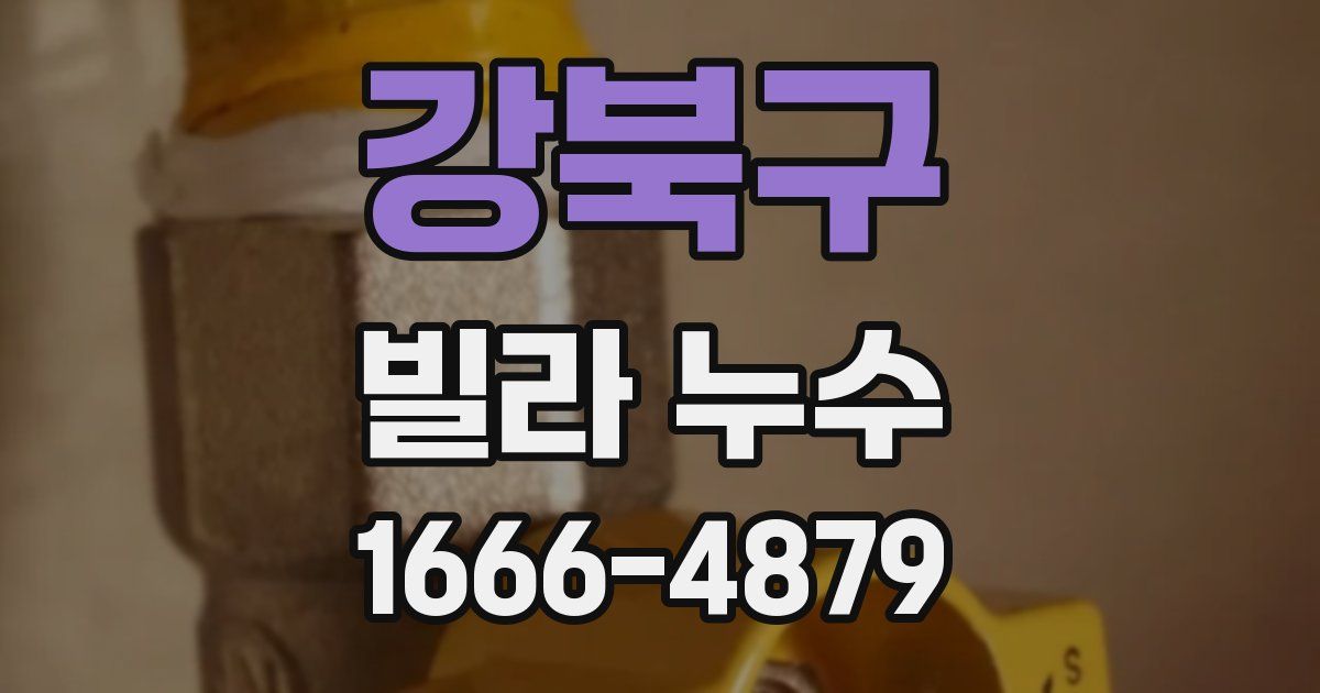강북구 빌라 누수