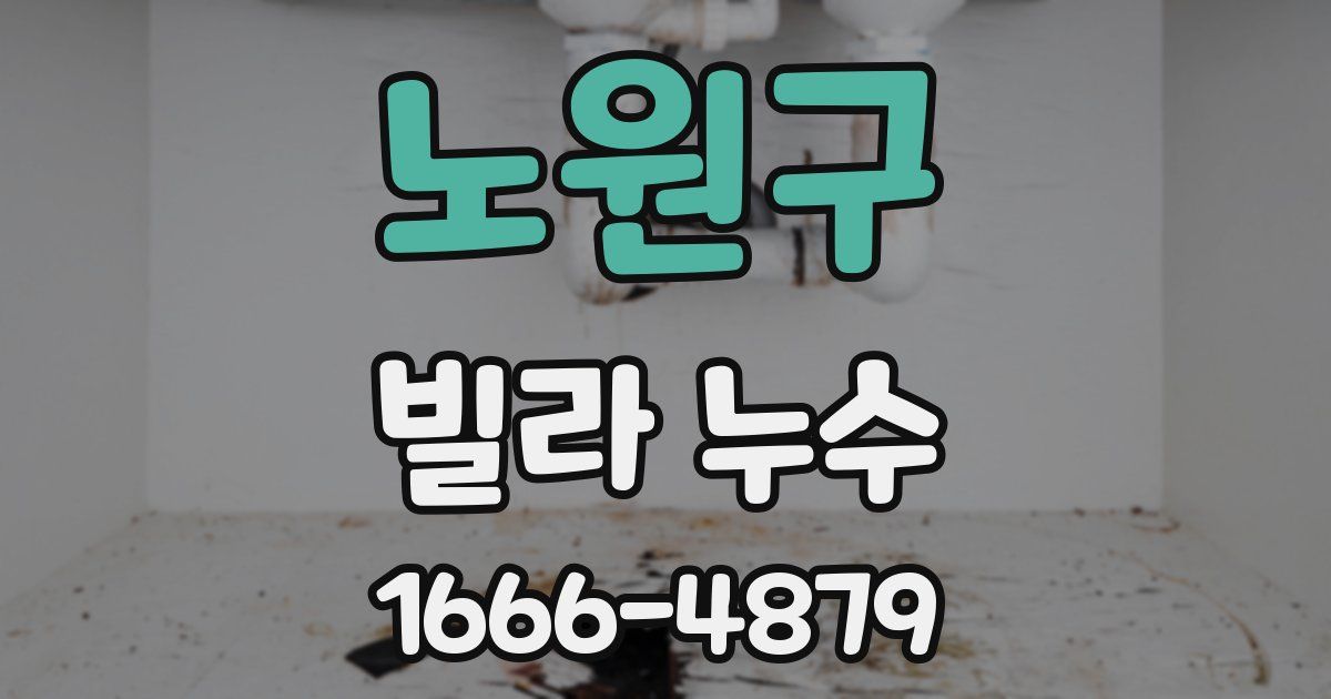 노원구 빌라 누수