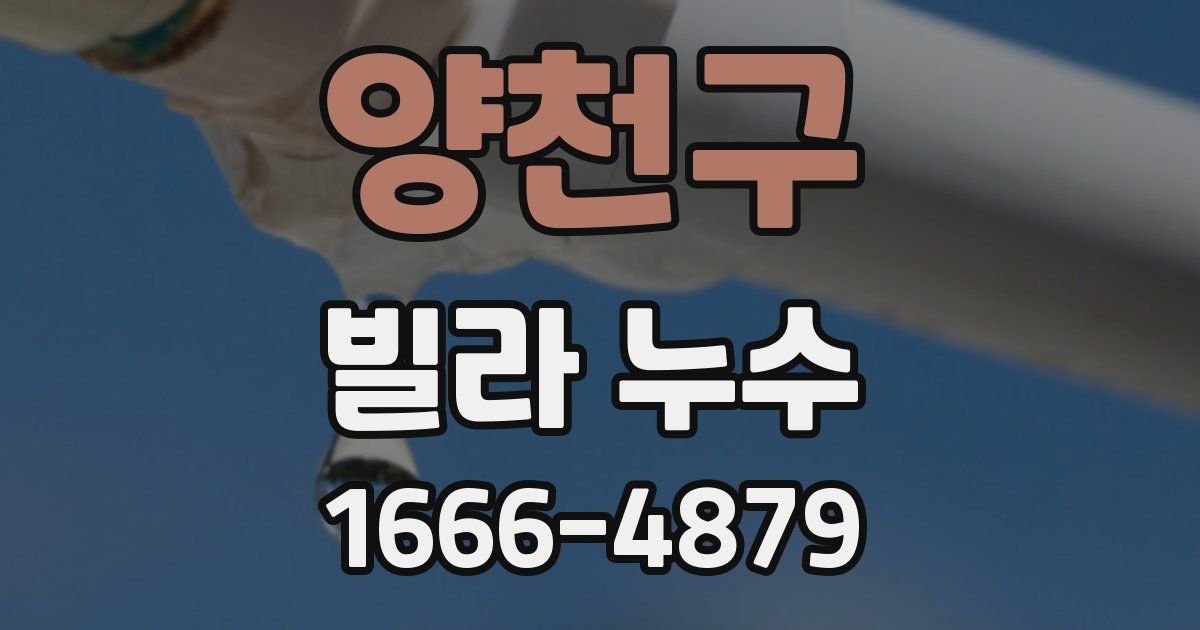 양천구 빌라 누수