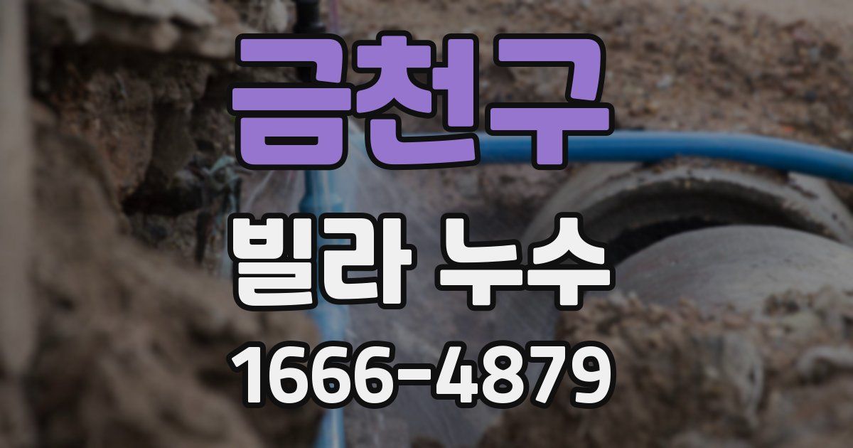 금천구 빌라 누수