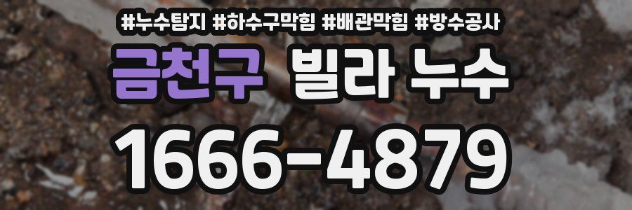 금천구 빌라 누수
