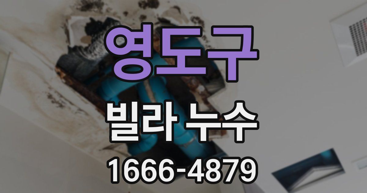 영도구 빌라 누수