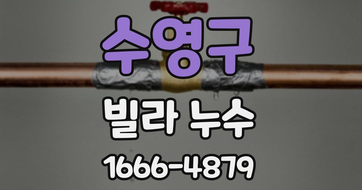 수영구 빌라 누수