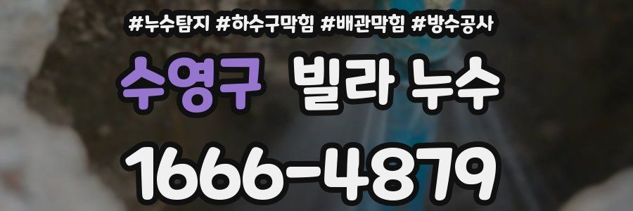 수영구 빌라 누수