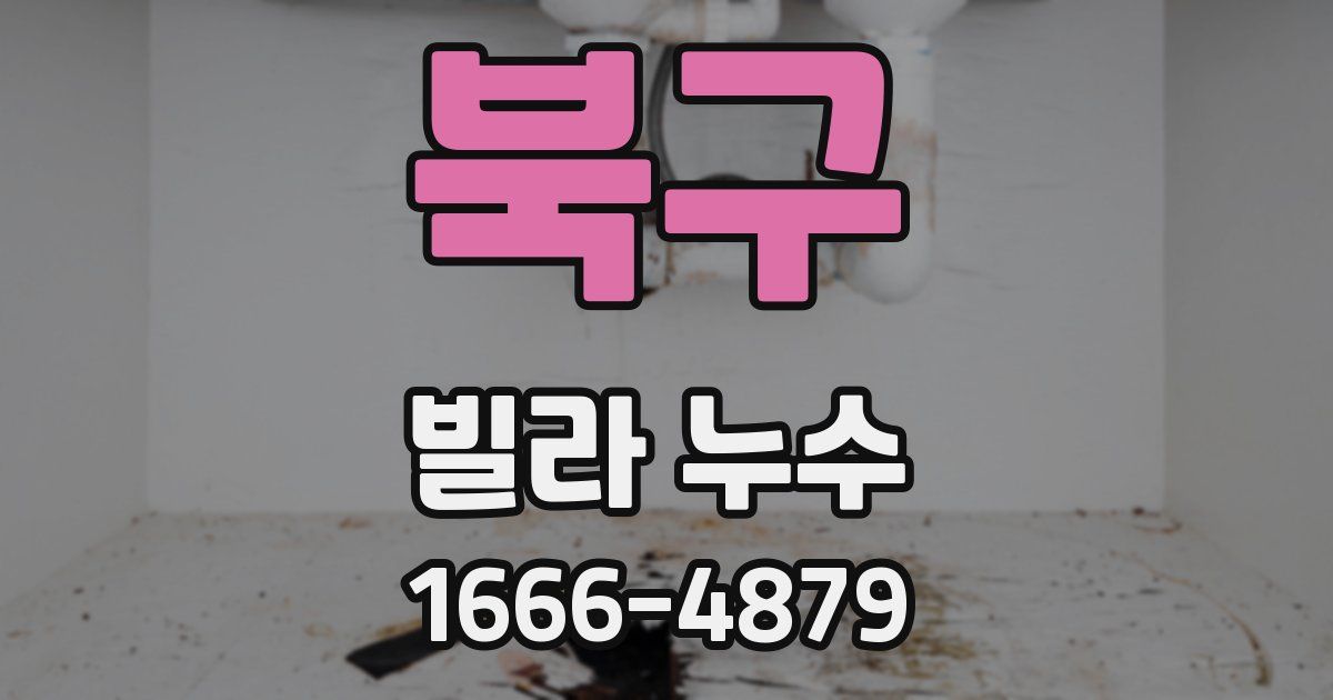 북구 빌라 누수