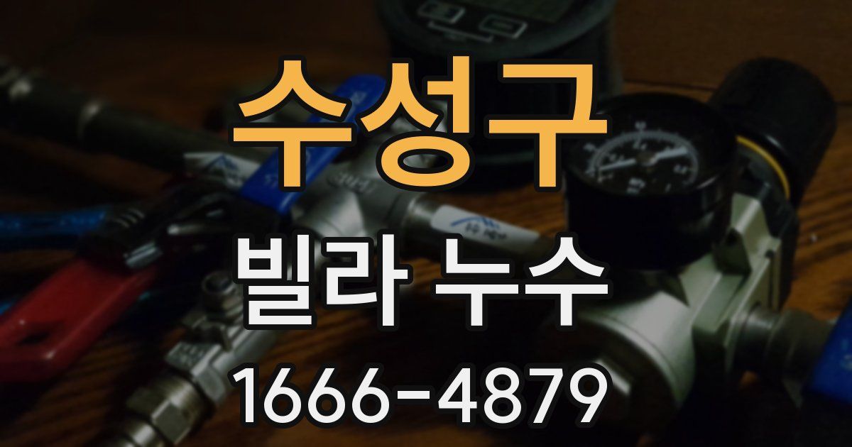 수성구 빌라 누수