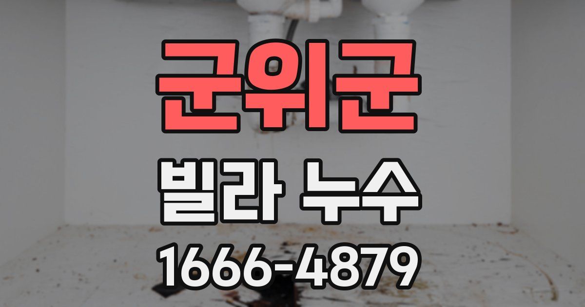 군위군 빌라 누수