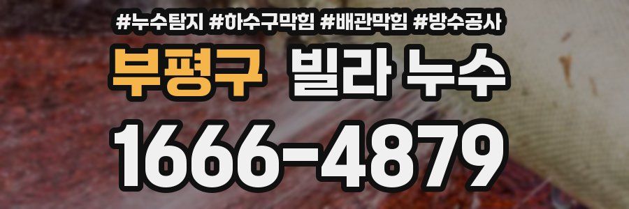 부평구 빌라 누수