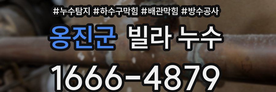옹진군 빌라 누수