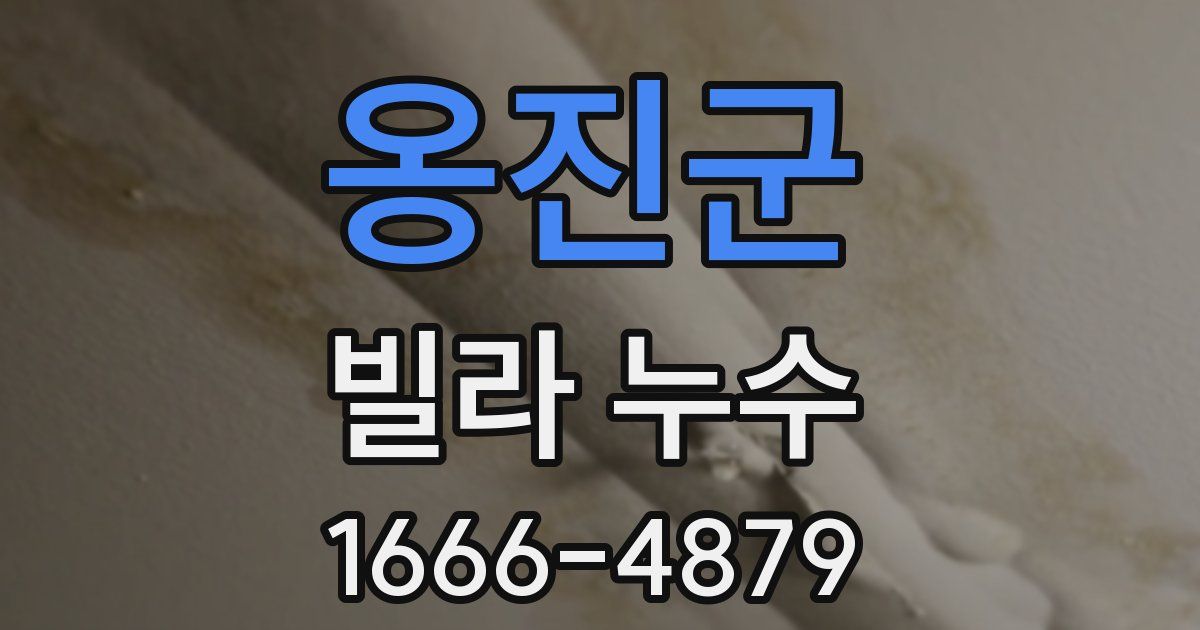 옹진군 빌라 누수