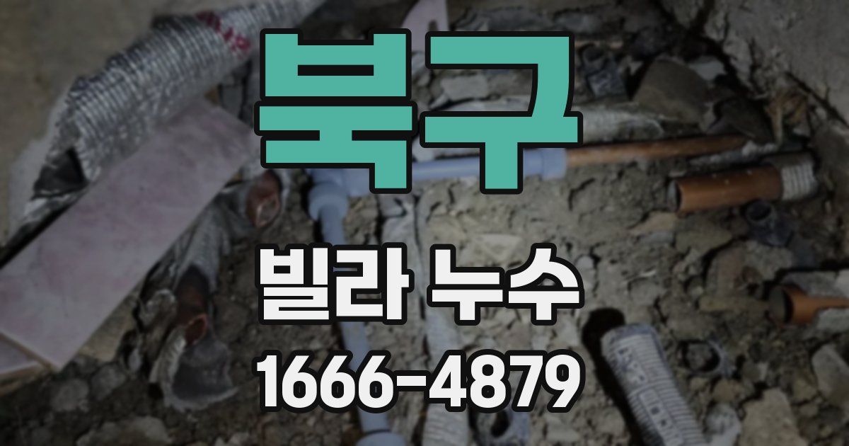 북구 빌라 누수