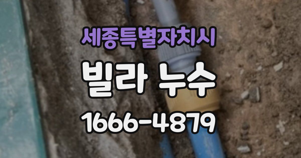 세종특별자치시 빌라 누수