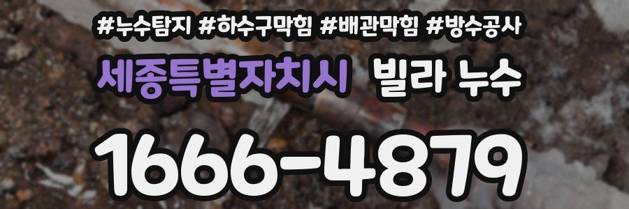 세종특별자치시 빌라 누수
