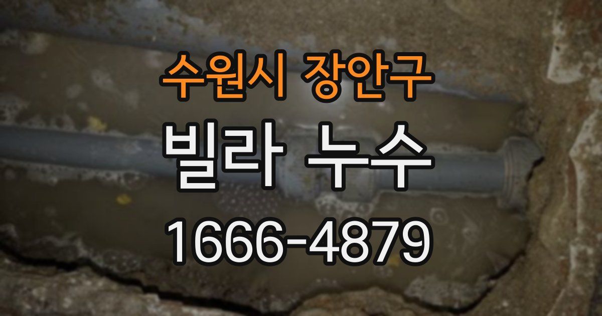 수원시 장안구 빌라 누수