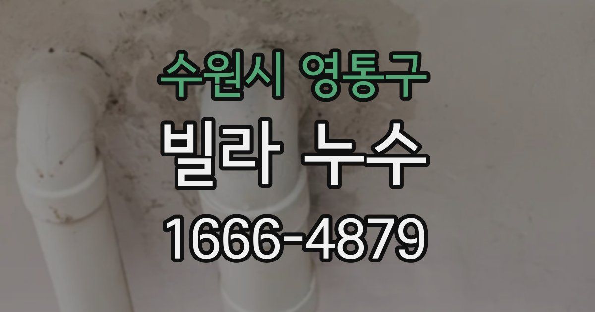 수원시 영통구 빌라 누수