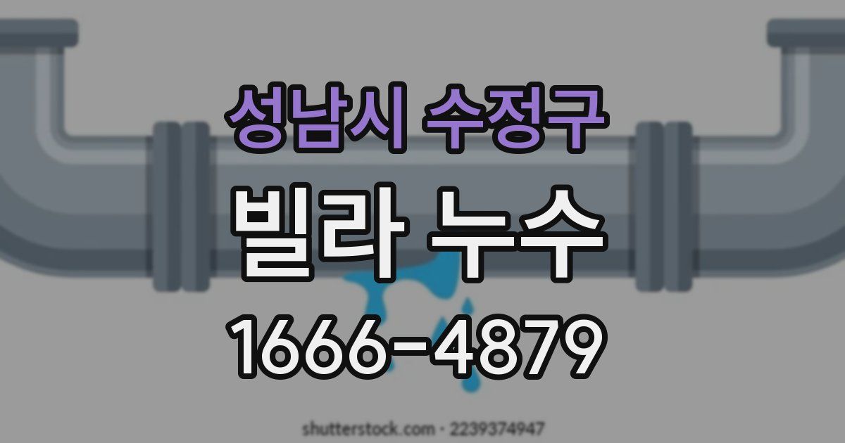 성남시 수정구 빌라 누수