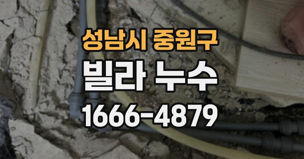 성남시 중원구 빌라 누수