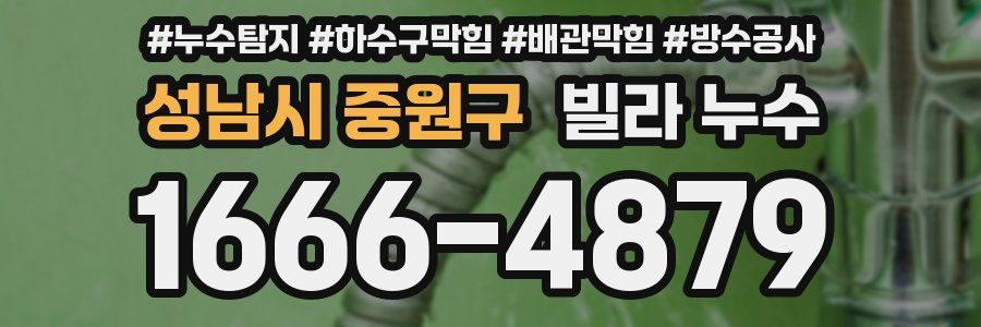 성남시 중원구 빌라 누수