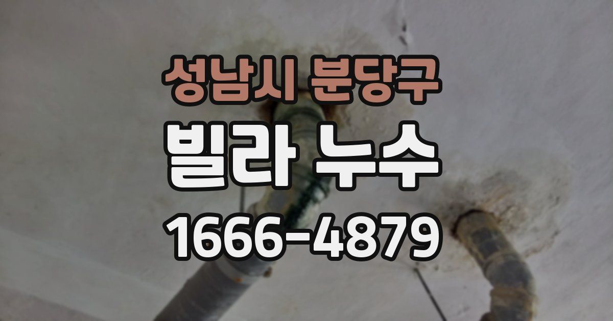 성남시 분당구 빌라 누수