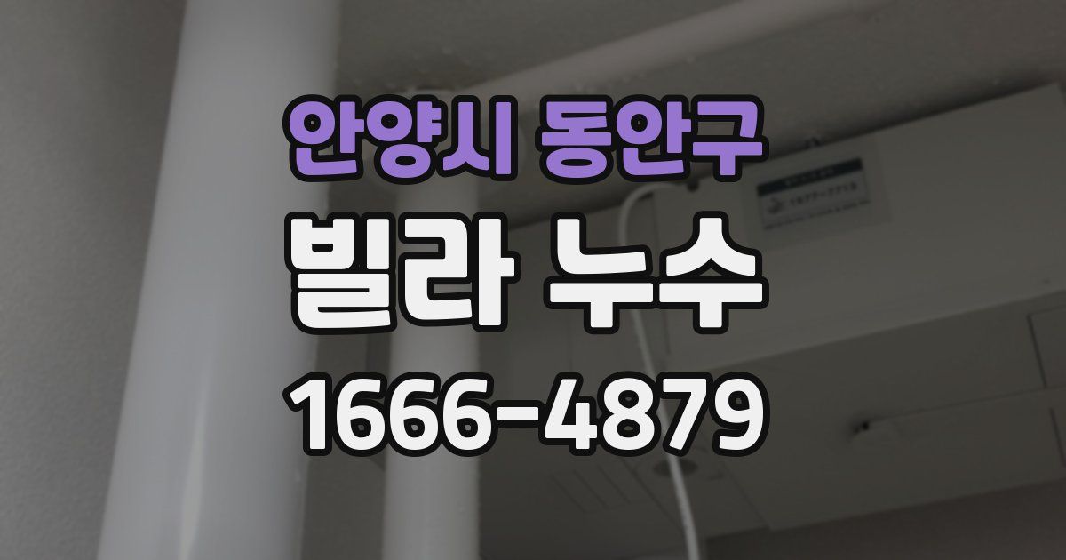 안양시 동안구 빌라 누수