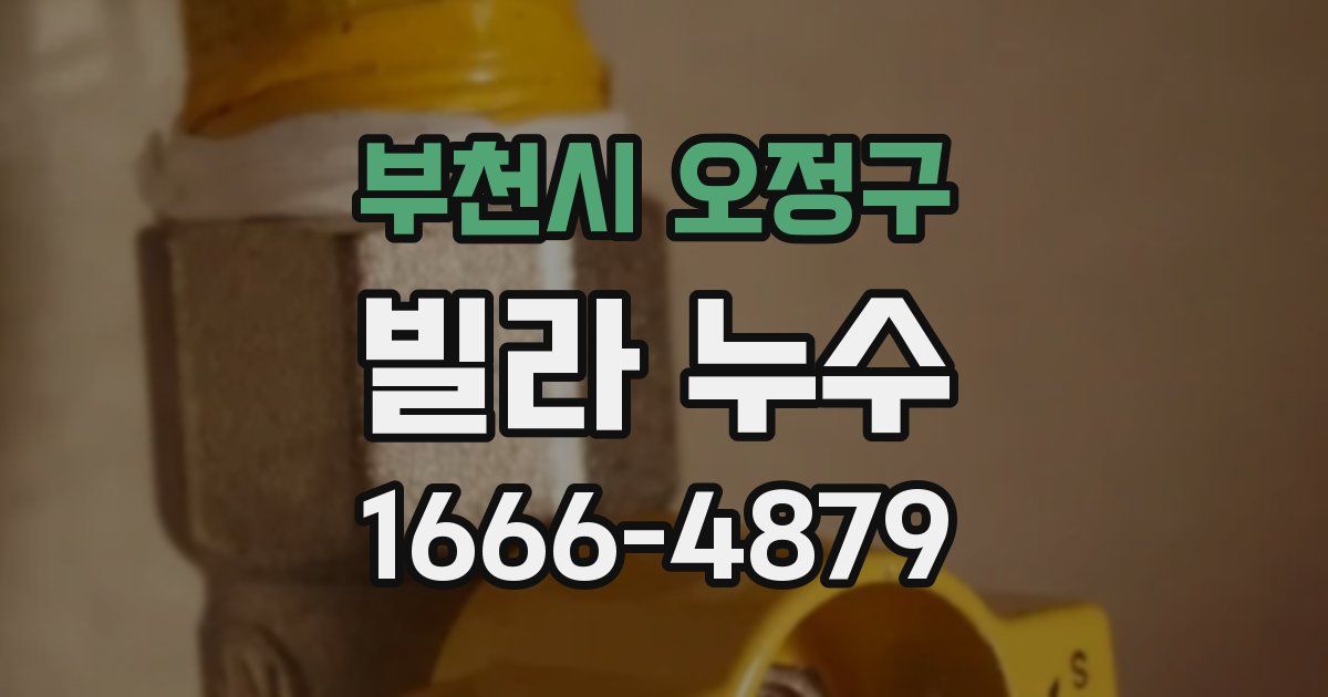 부천시 오정구 빌라 누수